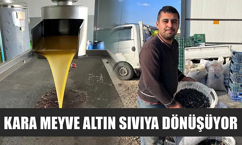 Kara meyve altın sıvıya dönüşüyor