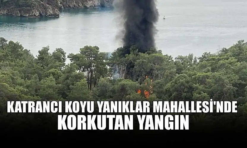 Katrancı Koyu Yanıklar Mahallesi'nde korkutan yangın