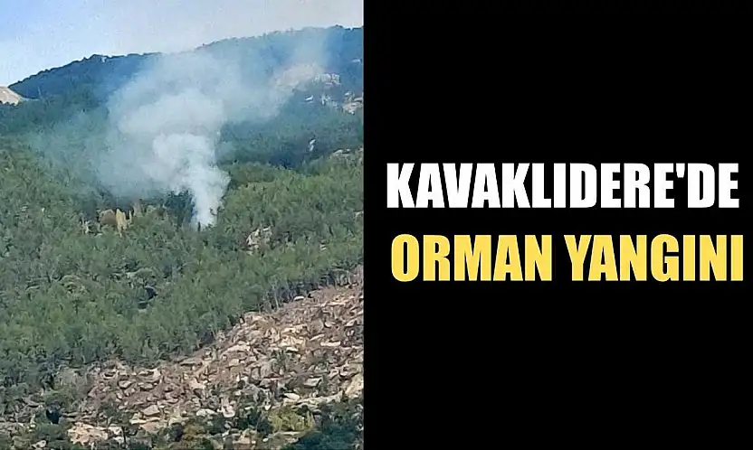 Kavaklıdere'de orman yangını
