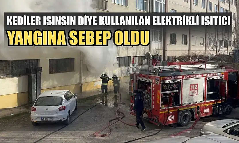 Kediler ısınsın diye kullanılan elektrikli ısıtıcı yangına sebep oldu