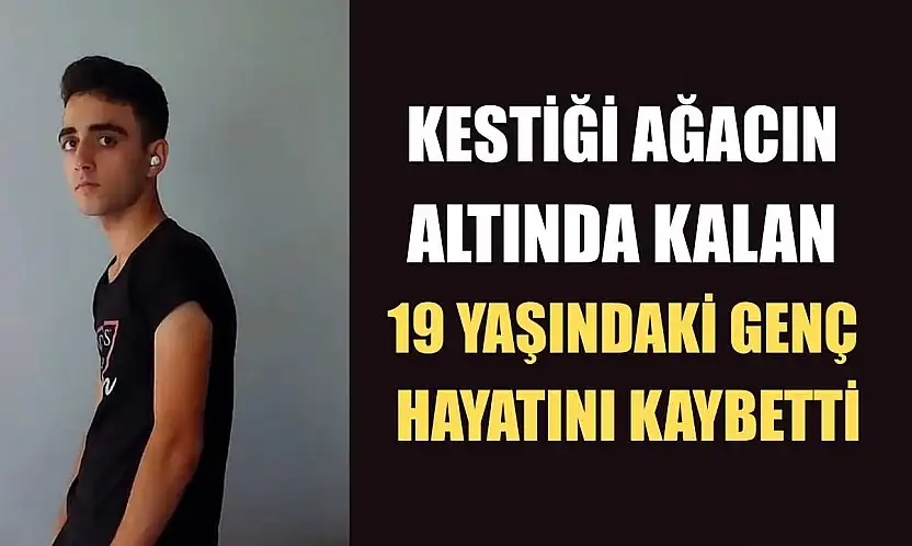 Kestiği ağacın altında kalan 19 yaşındaki genç hayatını kaybetti