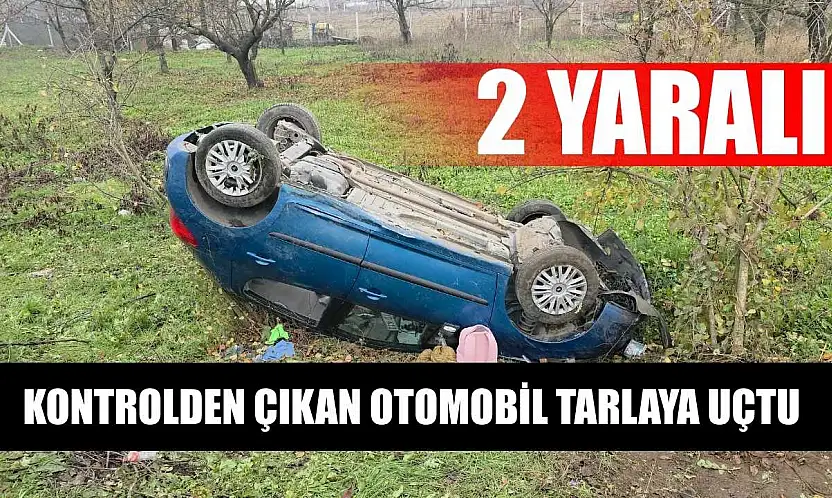 Kontrolden çıkan otomobil tarlaya uçtu: 2 yaralı