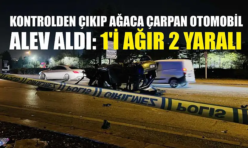 Kontrolden çıkıp ağaca çarpan otomobil alev aldı: 1'i ağır 2 yaralı