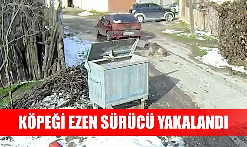 Köpeği ezen sürücü yakalandı