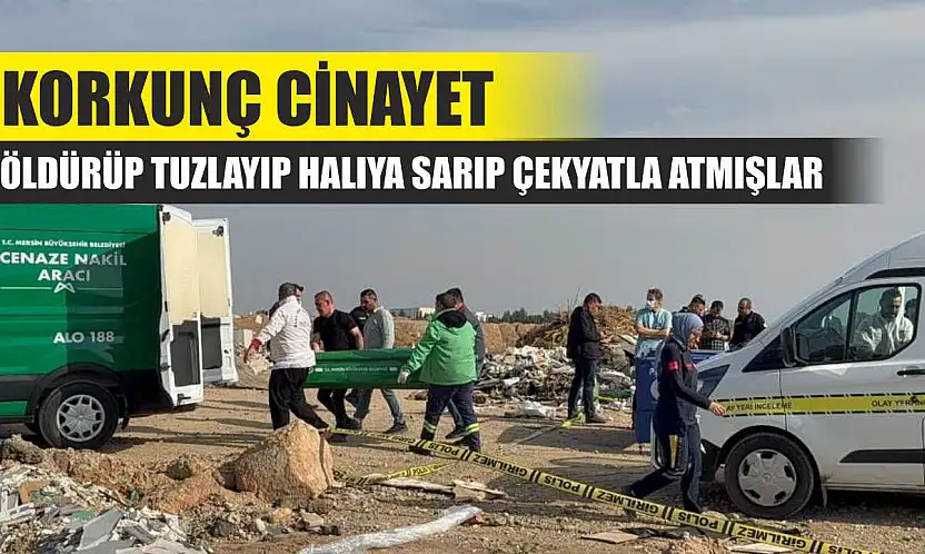 Korkunç cinayet: Öldürüp tuzlayıp halıya sarıp çekyatla atmışlar