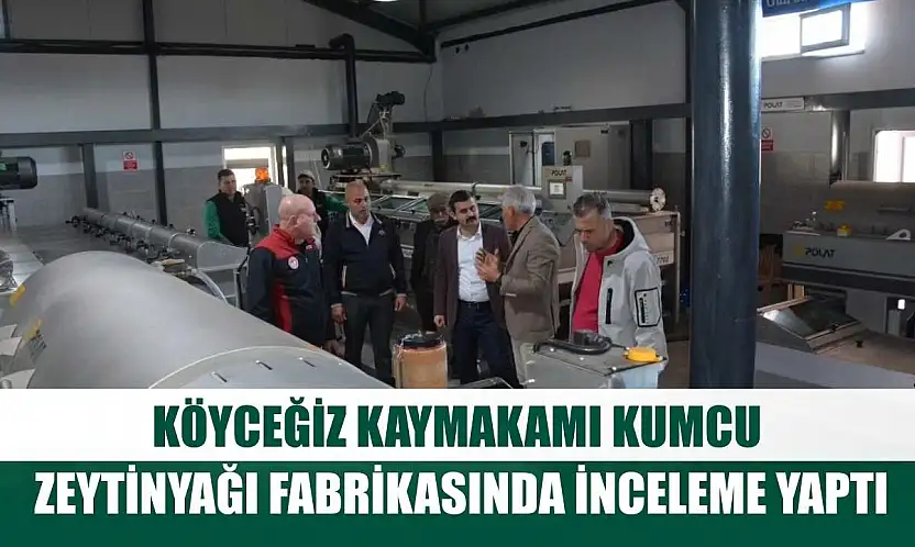 Köyceğiz Kaymakamı Kumcu, zeytinyağı fabrikasında inceleme yaptı
