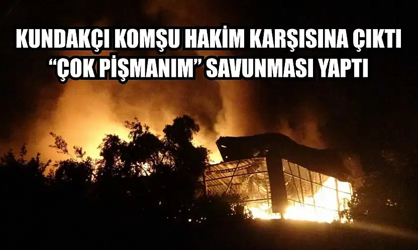 Kundakçı komşu hakim karşısına çıktı: 'Çok pişmanım' savunması yaptı