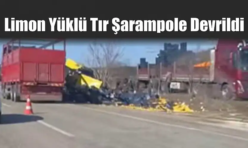 Limon Yüklü Tır Şarampole Devrildi