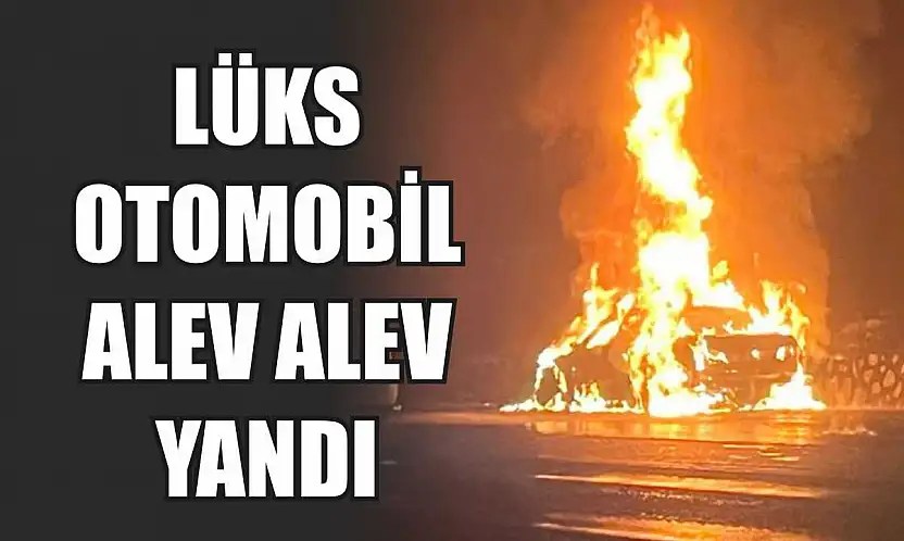 Lüks otomobil alev alev yandı