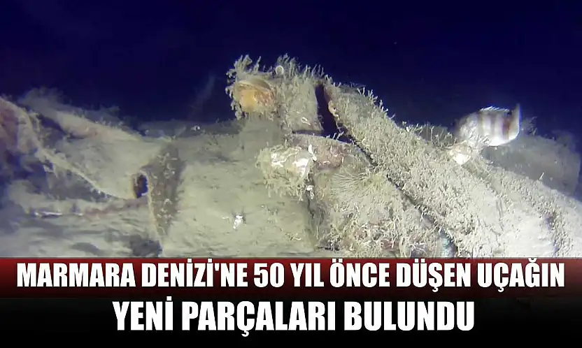 Marmara Denizi'ne 50 yıl önce düşen uçağın yeni parçaları bulundu