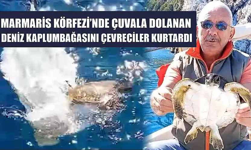 Marmaris Körfezi'nde çuvala dolanan deniz kaplumbağasını çevreciler kurtardı