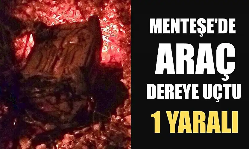 Menteşe'de araç dereye uçtu: 1 yaralı