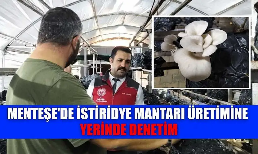 Menteşe'de istiridye mantarı üretimine yerinde denetim