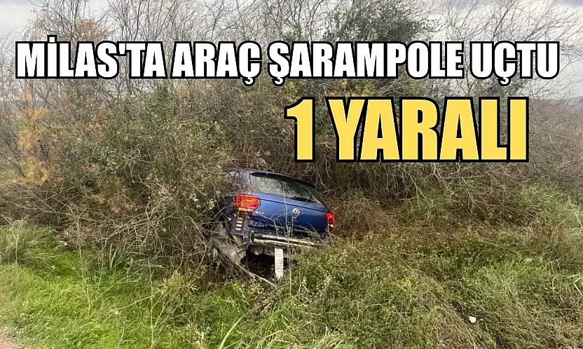 Milas'ta araç şarampole uçtu: 1 yaralı