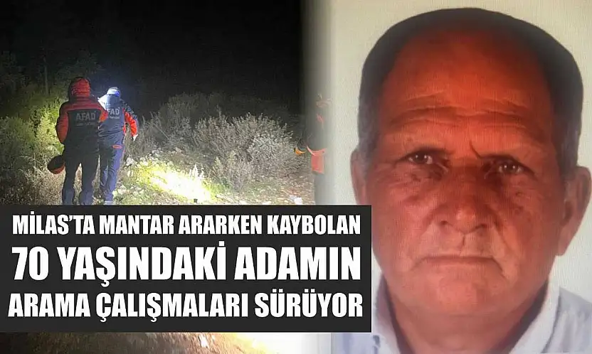 Milas'ta mantar ararken kaybolan 70 yaşındaki adamın arama çalışmaları sürüyor