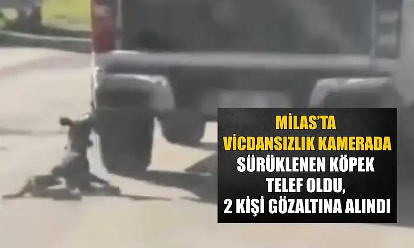 Milas'ta vicdansızlık kamerada: Sürüklenen köpek telef oldu, 2 kişi gözaltına alındı