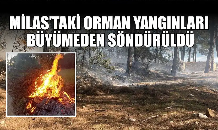 Milas'taki orman yangınları büyümeden söndürüldü