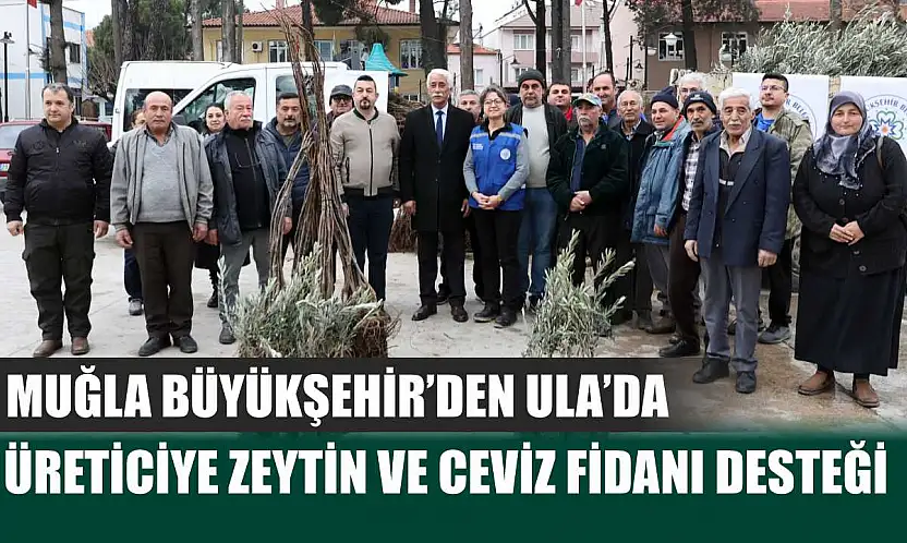 Muğla Büyükşehir'den Ula'da Üreticiye Zeytin ve Ceviz Fidanı Desteği