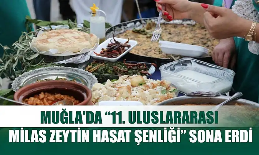 Muğla'da '11. Uluslararası Milas Zeytin Hasat Şenliği' sona erdi