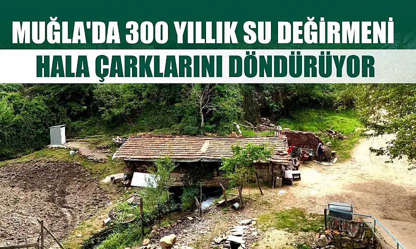 Muğla'da 300 yıllık su değirmeni hala çarklarını döndürüyor