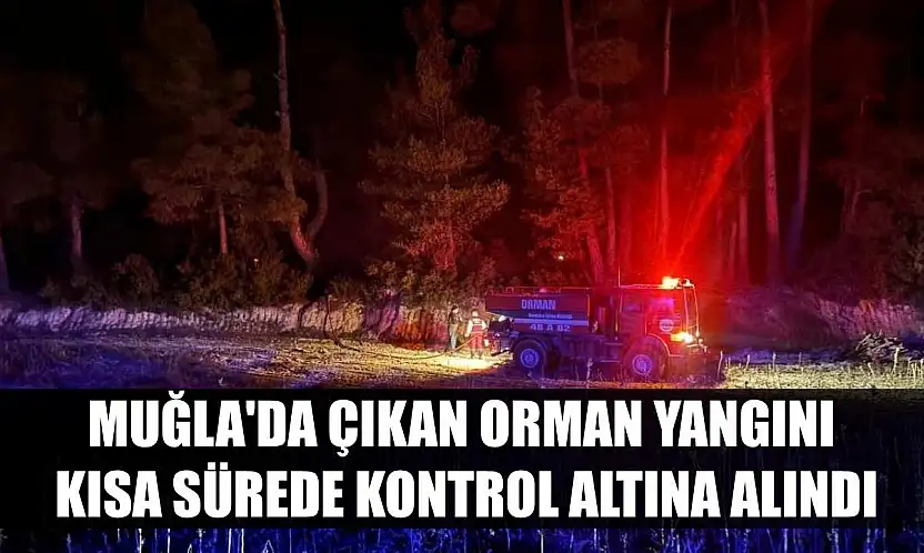 Muğla'da çıkan orman yangını kısa sürede kontrol altına alındı