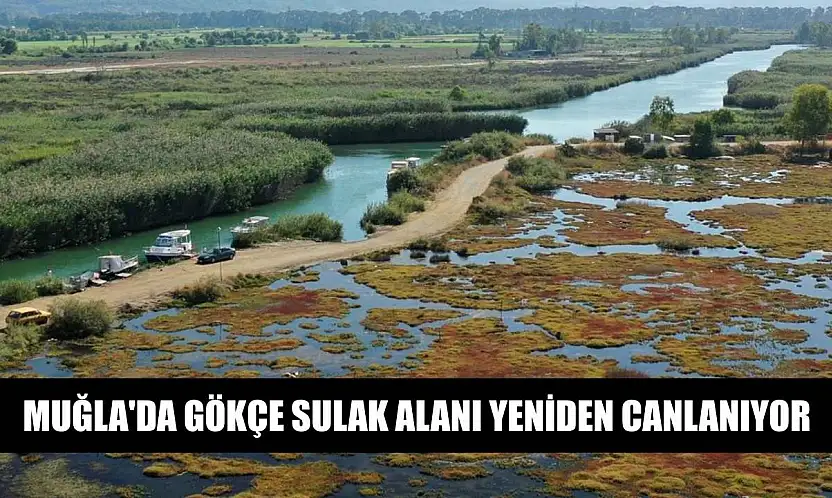 Muğla'da Gökçe Sulak alanı yeniden canlanıyor
