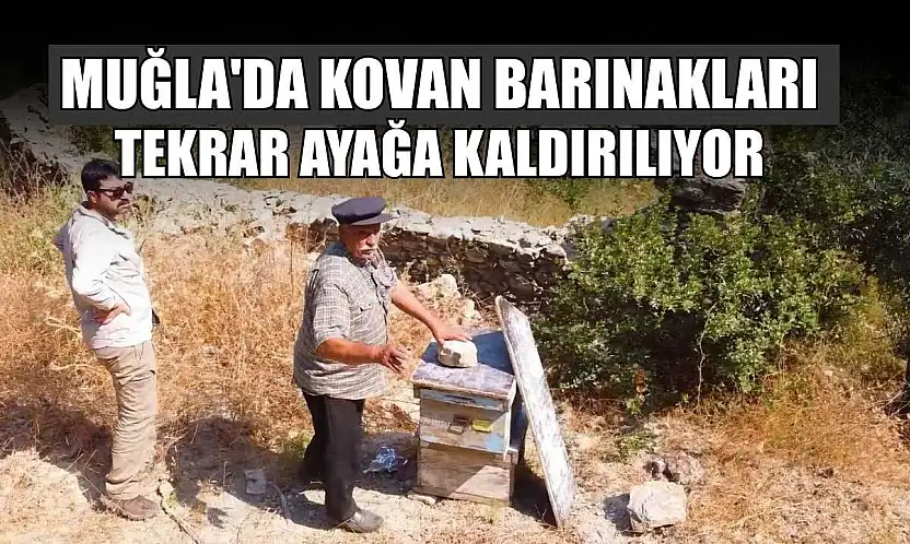 Muğla'da kovan barınakları tekrar ayağa kaldırılıyor