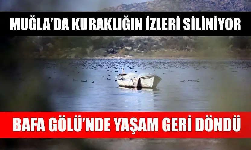 Muğla'da kuraklığın izleri siliniyor: Bafa Gölü'nde yaşam geri döndü