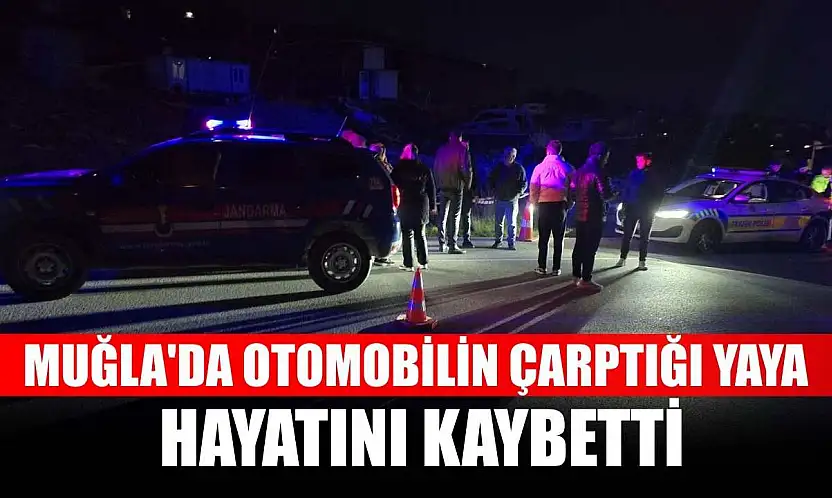 Muğla'da otomobilin çarptığı yaya hayatını kaybetti