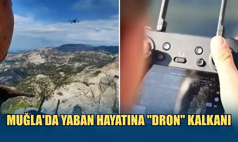 Muğla'da yaban hayatına 'dron' kalkanı