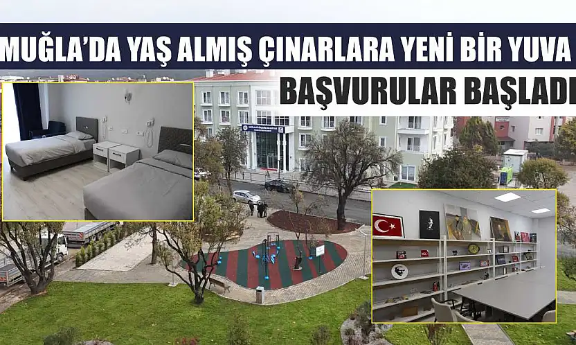 Muğla'da Yaş Almış Çınarlara Yeni Bir Yuva: Başvurular Başladı
