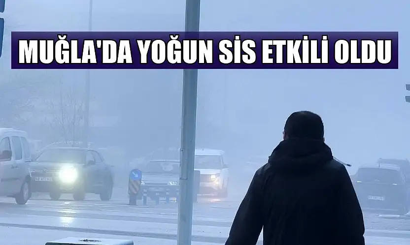 Muğla'da yoğun sis etkili oldu