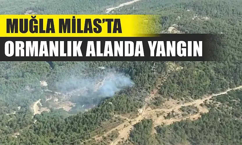 Muğla Milas'ta ormanlık alanda yangın