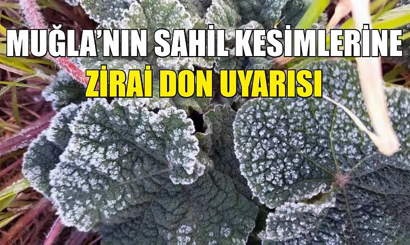 Muğla'nın sahil kesimlerine zirai don uyarısı