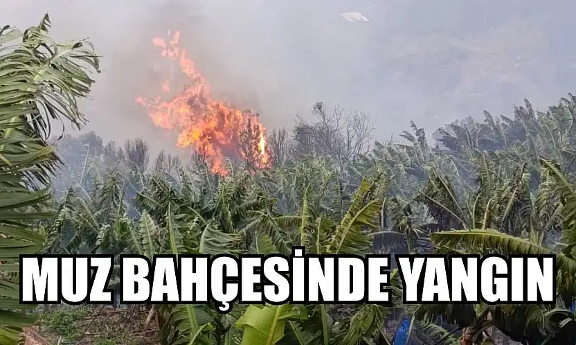 Muz bahçesinde yangın