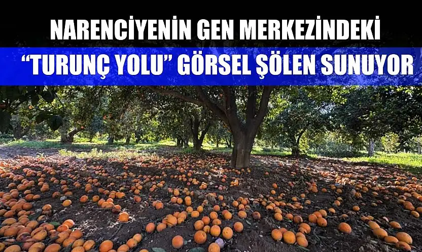 Narenciyenin gen merkezindeki 'Turunç Yolu' görsel şölen sunuyor