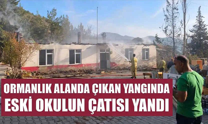 Ormanlık alanda çıkan yangında eski okulun çatısı yandı