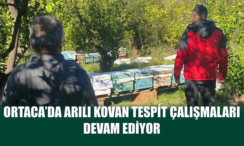 Ortaca'da Arılı Kovan Tespit Çalışmaları Devam Ediyor