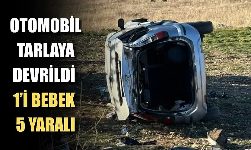 Otomobil tarlaya devrildi: 1'i bebek 5 yaralı