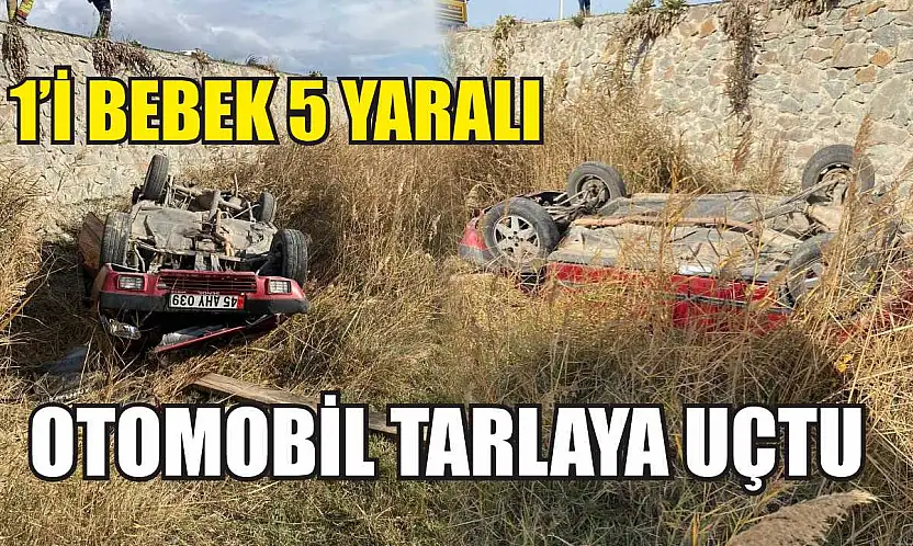 Otomobil tarlaya uçtu: 1'i bebek 5 yaralı