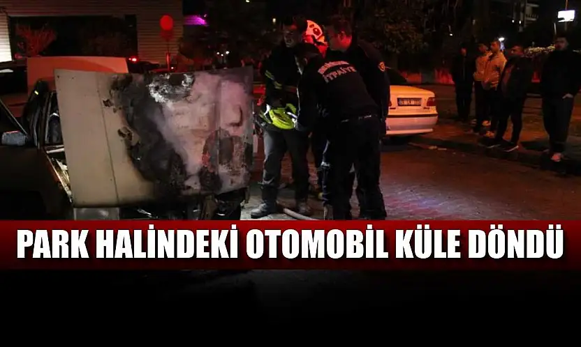 Park halindeki otomobil küle döndü