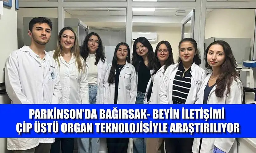 Parkinson'da bağırsak- beyin iletişimi çip üstü organ teknolojisiyle araştırılıyor