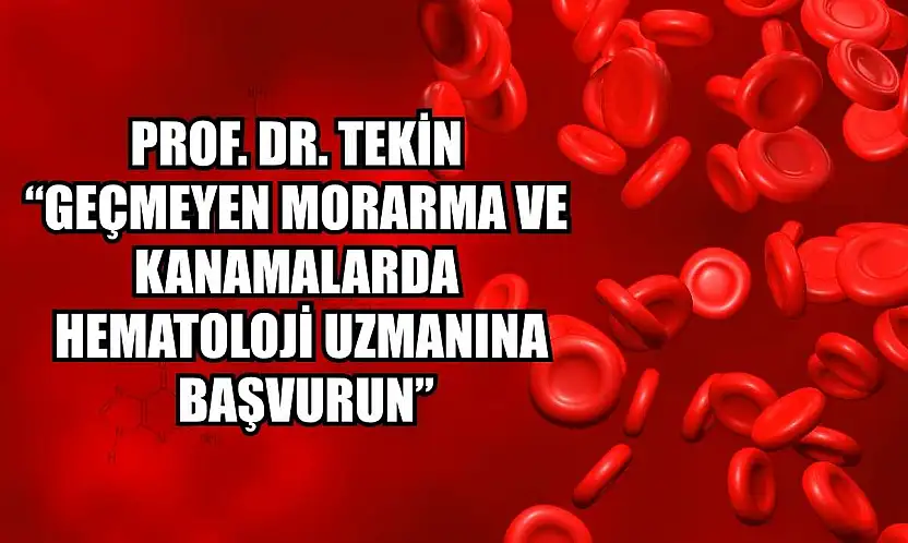 Prof. Dr. Tekin: 'Geçmeyen morarma ve kanamalarda hematoloji uzmanına başvurun'