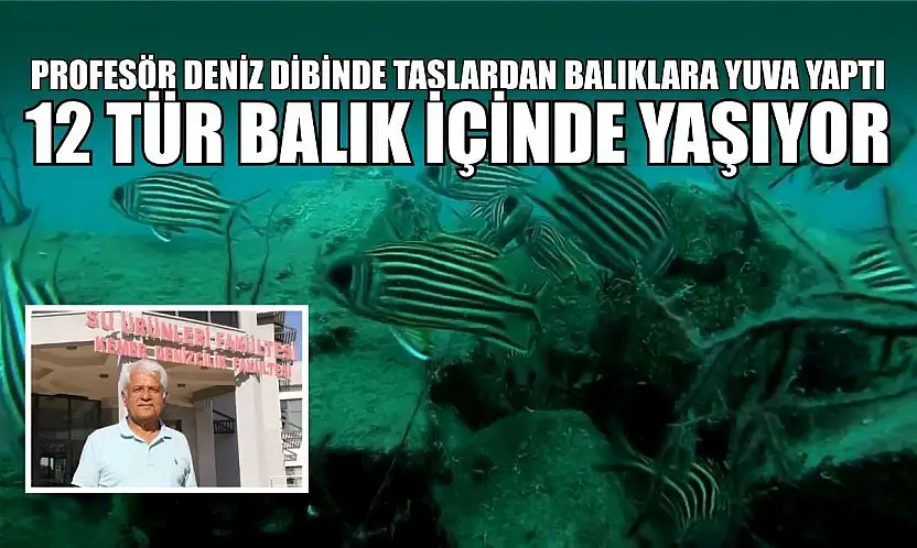 Profesör deniz dibinde taşlardan balıklara yuva yaptı: 12 tür balık içinde yaşıyor