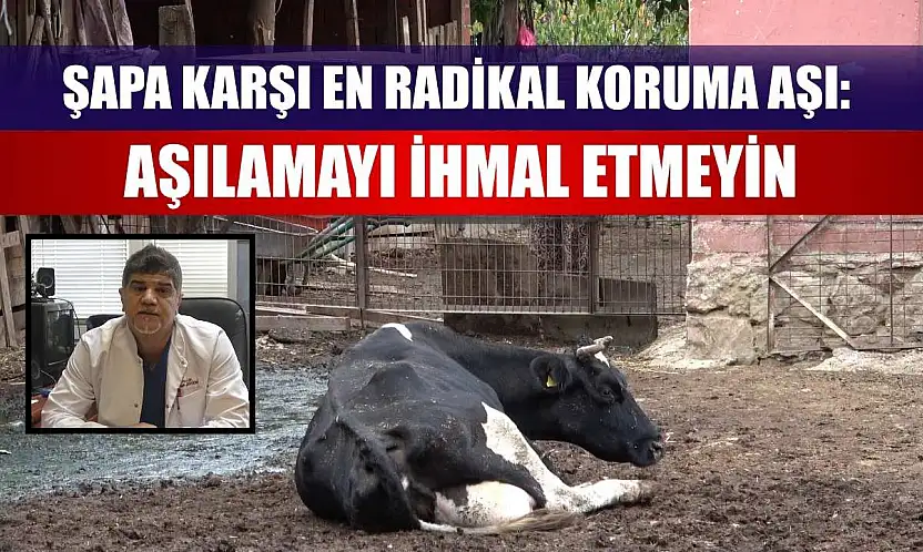 Şapa karşı en radikal koruma aşı: Aşılamayı ihmal etmeyin