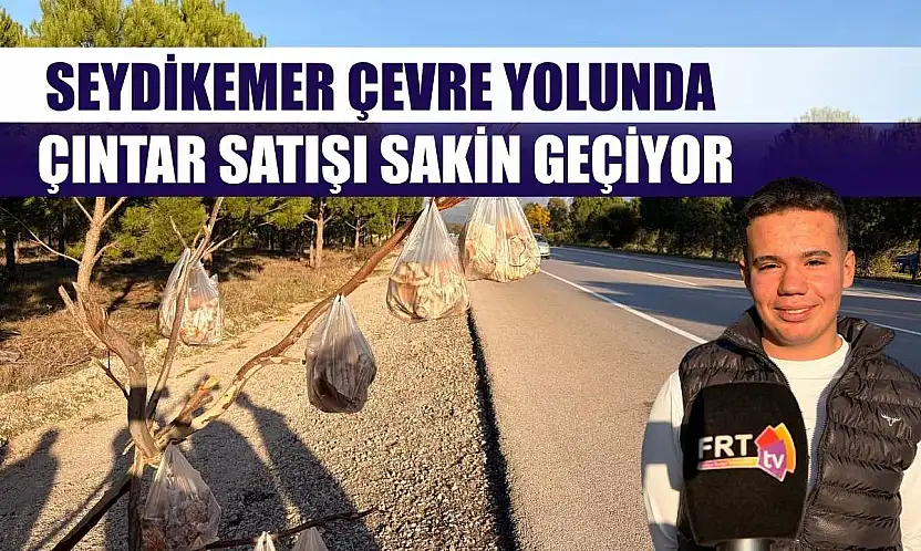 Seydikemer Çevre Yolunda Çıntar Satışı Sakin Geçiyor