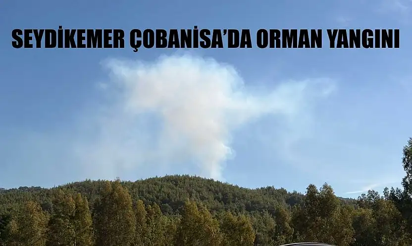 Seydikemer Çobanisa'da Orman Yangını