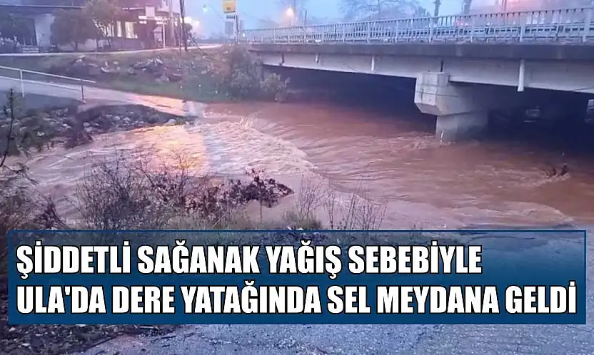 Şiddetli sağanak yağış sebebiyle Ula'da dere yatağında sel meydana geldi
