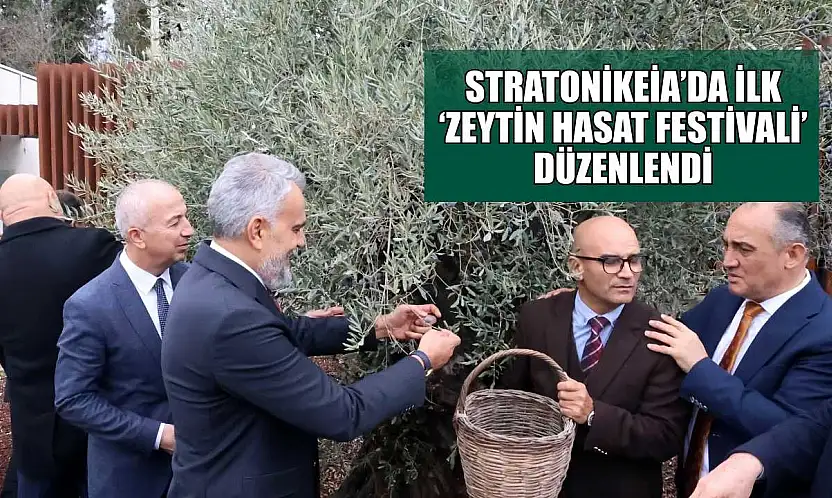 Stratonikeia'da ilk 'Zeytin Hasat Festivali' düzenlendi