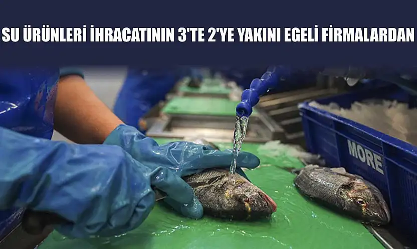 Su ürünleri ihracatının 3'te 2'ye yakını Egeli firmalardan